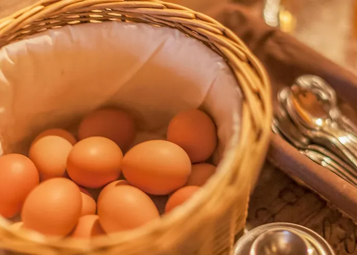 Blaiken L シェッファウ・アム・ヴィルデン・カイザー